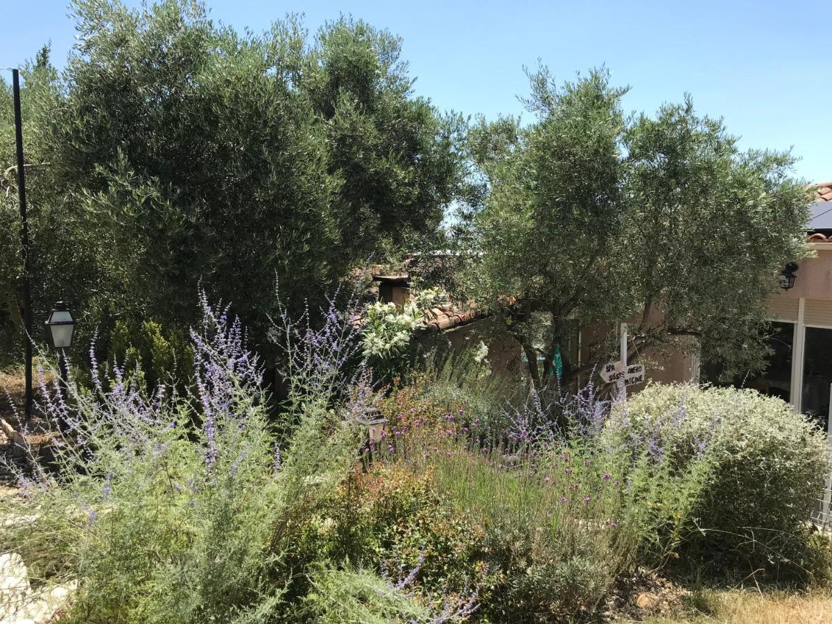 Chambre D Hotes Au Coeur Des Oliviers Marseille Kültér fotó