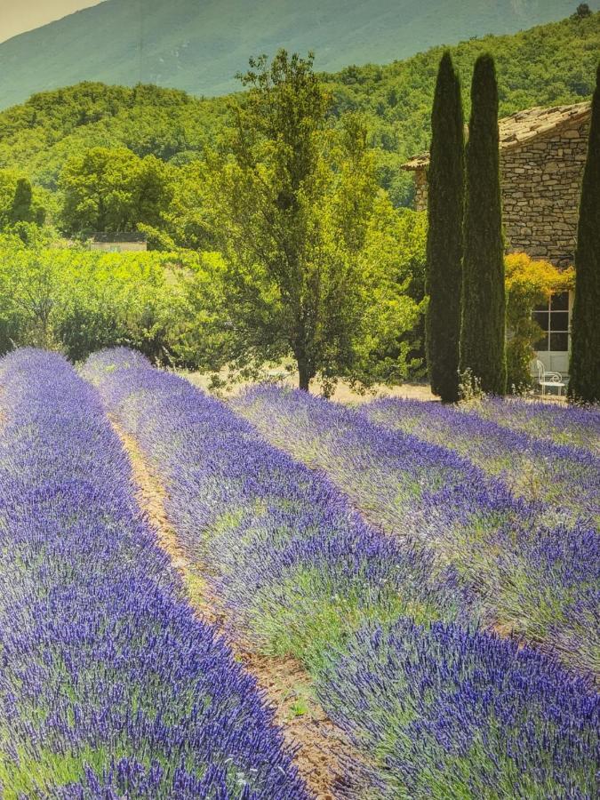 Chambre D Hotes Au Coeur Des Oliviers Marseille Kültér fotó